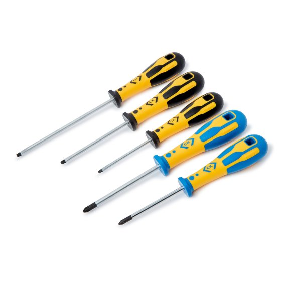 Dextro Screwdriver Set/5 SL/PZ